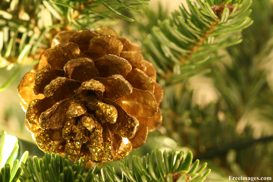 Coraz bliżej święta