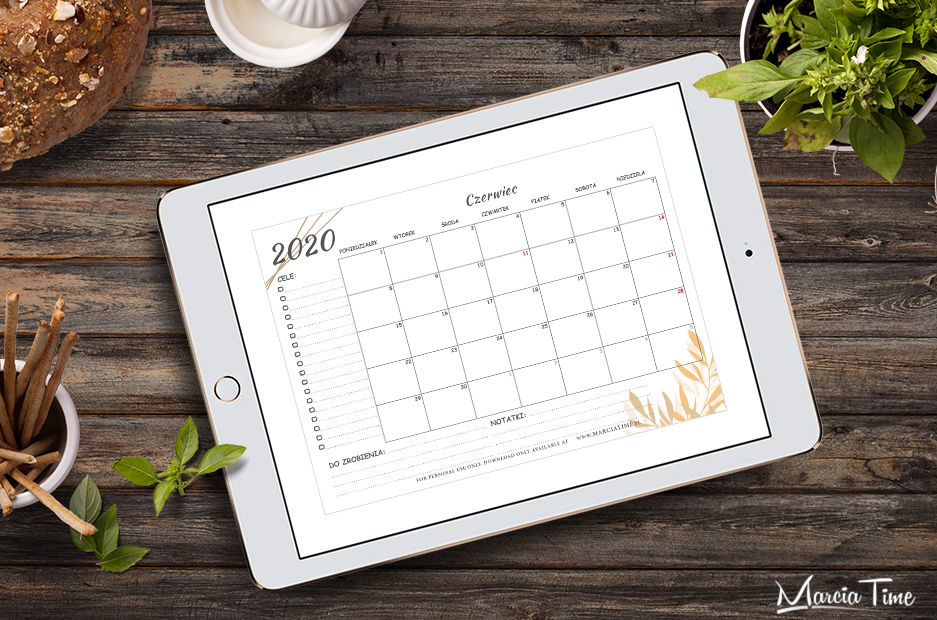 Planer na czerwiec 2020 do druku