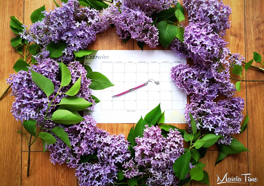 Planer na czerwiec 2021 do druku