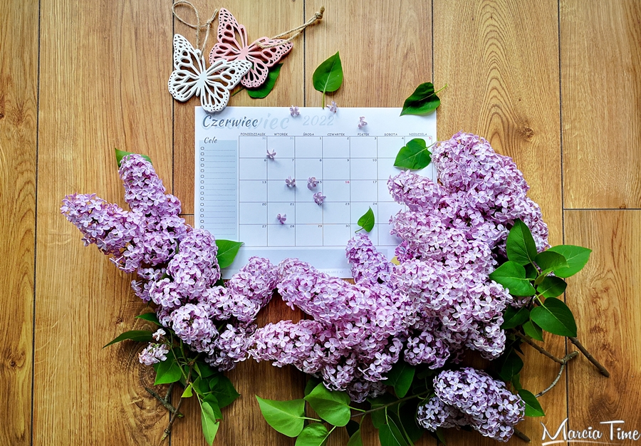 Planer na czerwiec 2022 do druku